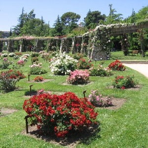 parc cervantes